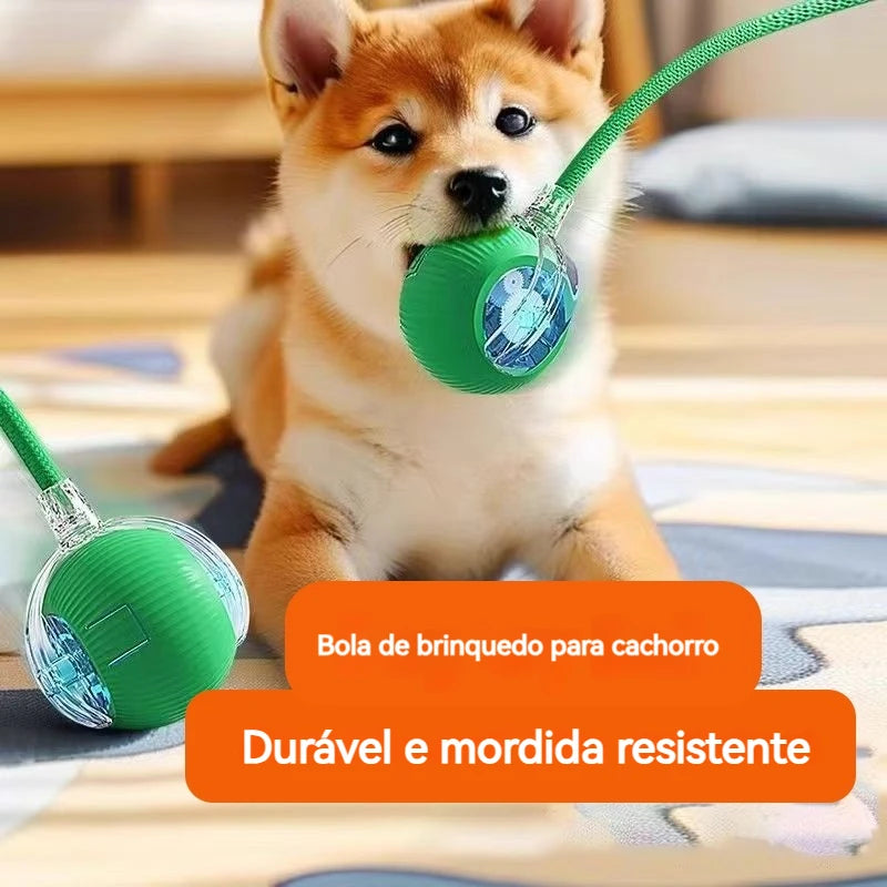 Bolinha Interativa para Cães e Gatos