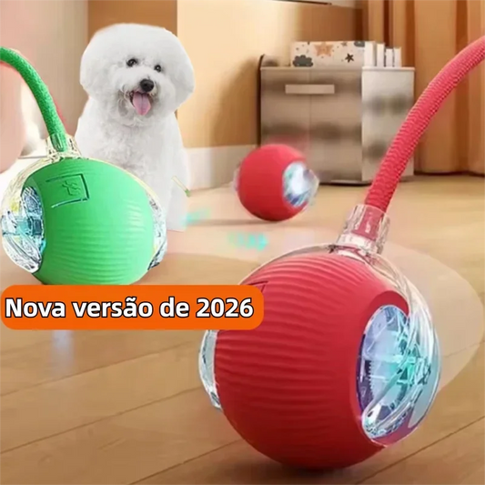 Bolinha Interativa para Cães e Gatos