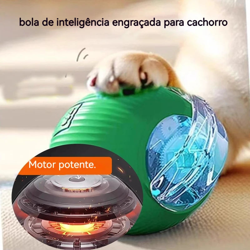 Bolinha Interativa para Cães e Gatos