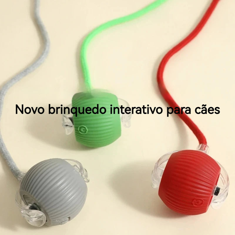 Bolinha Interativa para Cães e Gatos